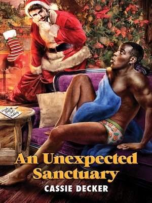 cover image of An Unexpected Sanctuary